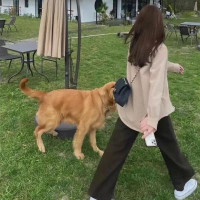 我是瓦金